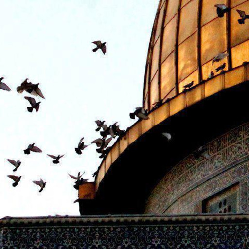 الله أكبر الله أكبر الله أكبر .. لا إله إلا الله ، الله أكبر الله أكبر الله أكبر .. ولله الحمد