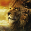 lionhearted-blog1