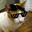 quarryawesomesauce