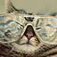 marty-chu-blog