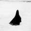 mournful-euphony