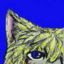 twilightknight93