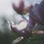 myfavouriteseason