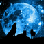 bluewolf2279-blog