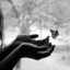 everything-is-illuminatedd