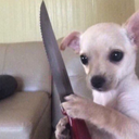 fuckinqfool:  fuckinqfool:  fuckinqfool:  can yall stop spreading misinformation?