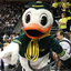 ducknation-wtd