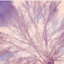 aubreywithacherryontop-blog