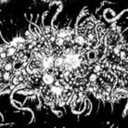 szasstam:  tentacleterror:  szasstam:  tentacleterror:  szasstam:  tentacleterror: