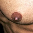 nipplepigs:  Brasilian guys into mutual nipple sucking and licking. Hot! 