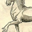 sillyscreechinghorse avatar