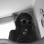 meredithjane15-blog