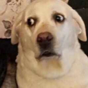 Quando eu uso um sapato novo: