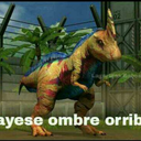 ¿cómo no me iba a enamorar de ti si hablábamos todos los días sin falta?