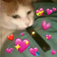 hollowheart-lover-blog