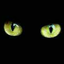 blacknight-b01