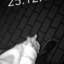 jaasonee-blog