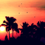 imthegirlyoualwaysdreamabou-blog