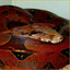 pyreboa