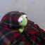 pickleberrypie3