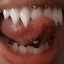 animalribs