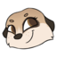 okay-owl