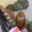marinebioblog
