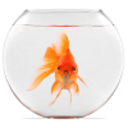 goldfishoflove avatar