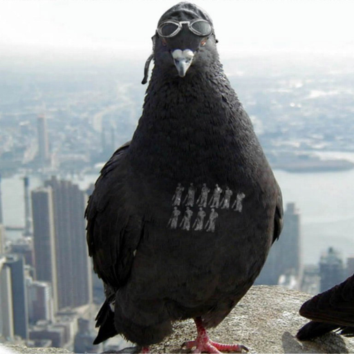 bastardpigeon:   This is sad. And today is that day. 