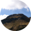 widderstein