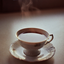 darlingcupmoved-blog