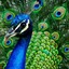 captaintauriel77