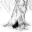 8paws4hooves1feather