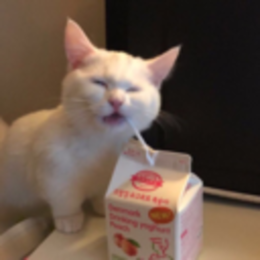 sweetroll:https://www.instagram.com/p/CASEsdvgfRu/?igshid=1nuejuishduva