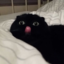 biculturejk