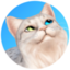 randomnesssimming