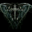 asura23