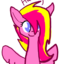schoolponiesadventures