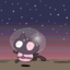 cookie-catuniverse-blog