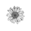 apulinaflowerpower