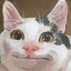 mrsaltypepper