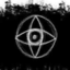 jindewoods-blog