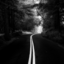 elo159-blog