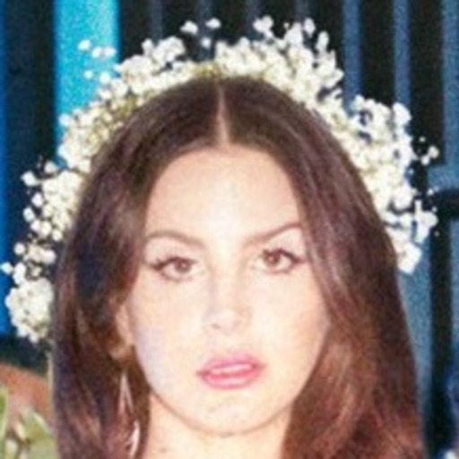 Lana Del Rey on alcohol