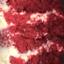 0percent-cranberryjuice