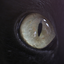 q11t3-blog