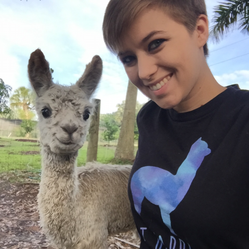 theadventuresofwatson:  You know how people say goats will try to eat anything? That’s not particularly true. Alpacas, on the other hand, are a different story. 