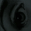 soundsee