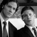 wincesthaikus:  when the world’s burningthey will reach for each otherinstead of