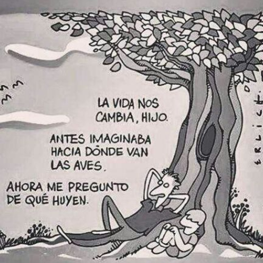 Hache de silencio